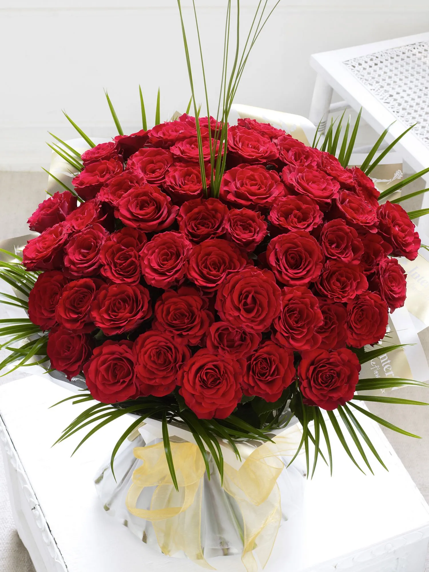 Besotted By You-8268