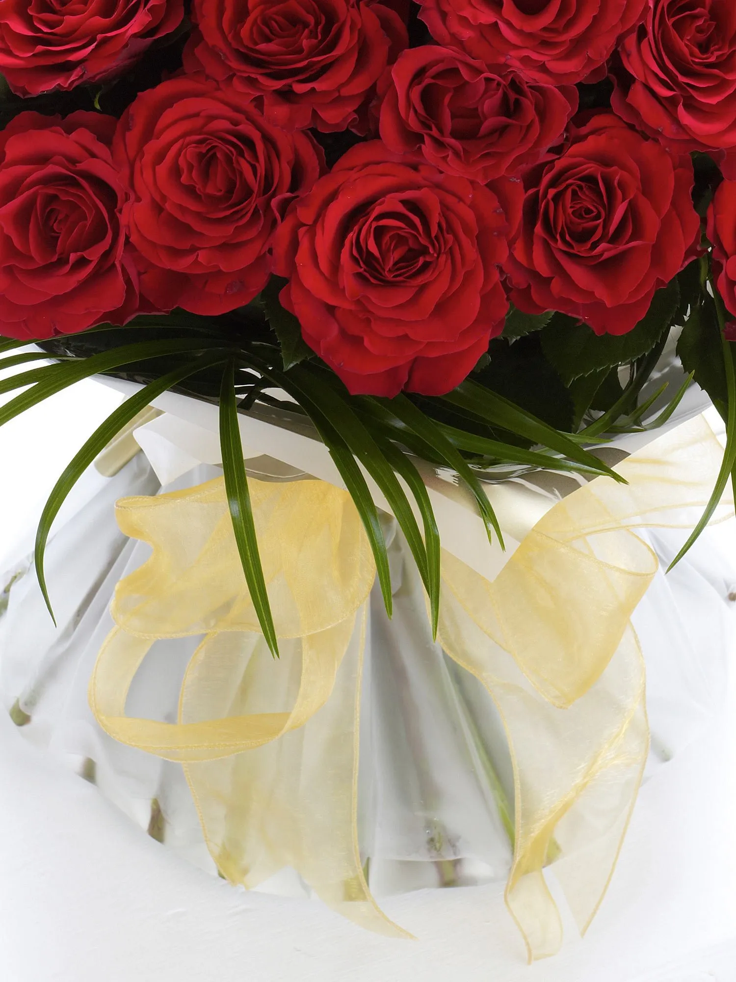 Besotted By You-8267