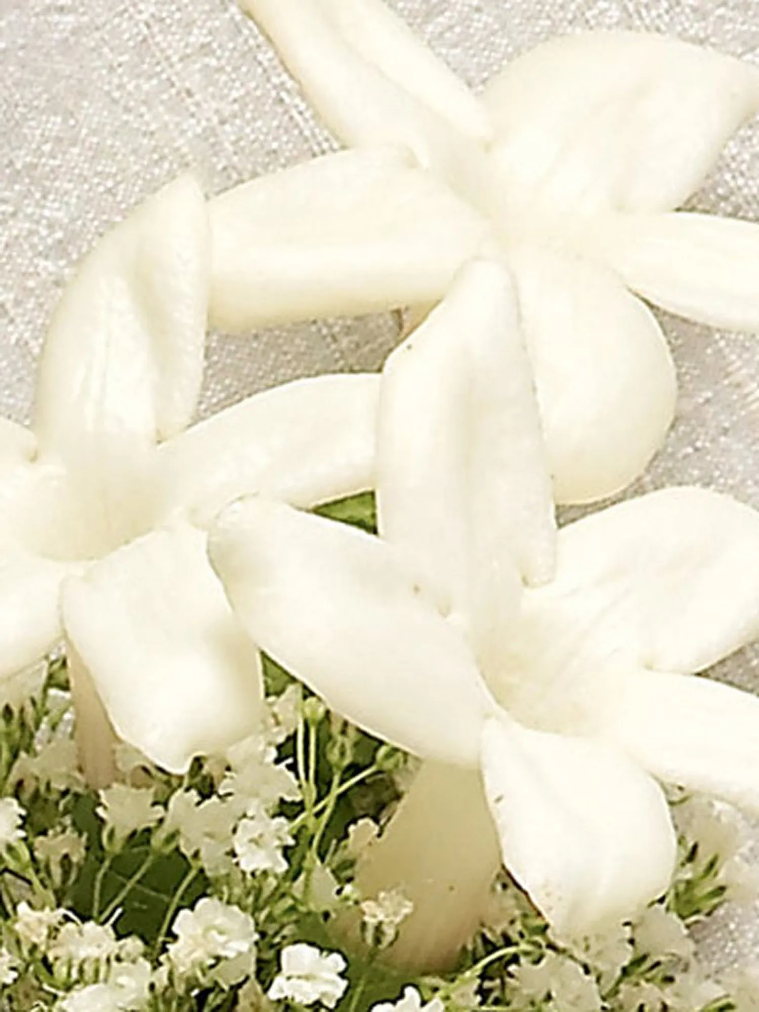 Snow White Stephanotis Buttonhole-8882