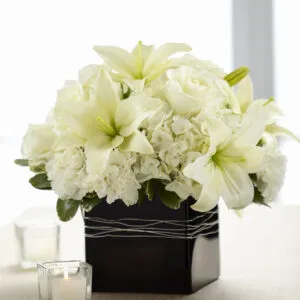 Sheer Bliss Arrangement