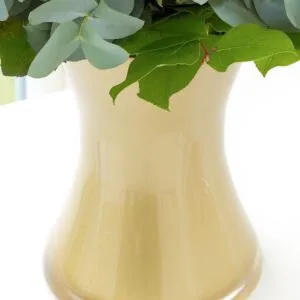 Sweet Peach Rose Corsage