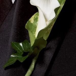 Chic White Calla Lily Buttonhole