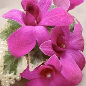 Rich Purple Dendrobium Orchid Wrist Corsage