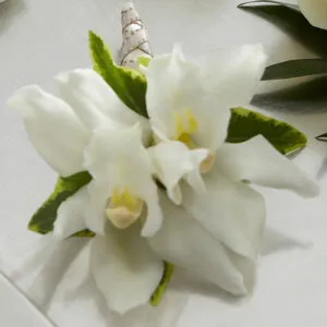 Mini Cymbidium Orchid Boutonniere