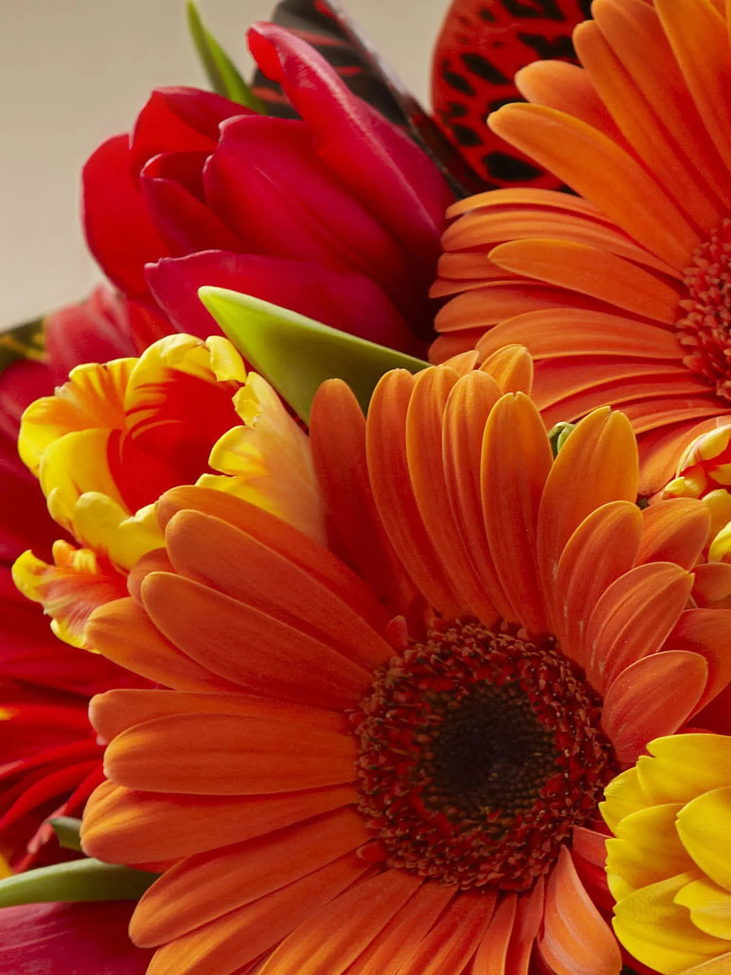 Sunshine Bouquet-8772