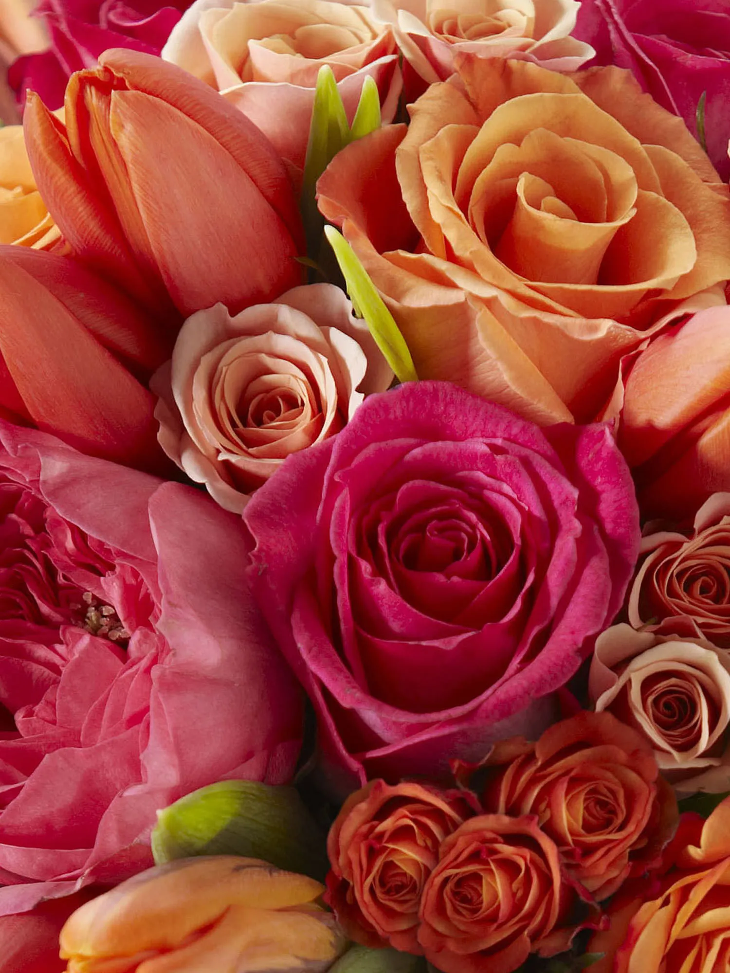 Sunset Dream Bouquet-8862