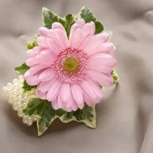 Pale Pink Germini Wrist Corsage