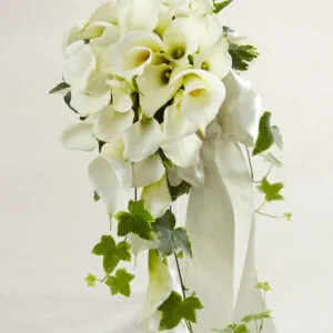 White Calla Lily Cascade Bouquet