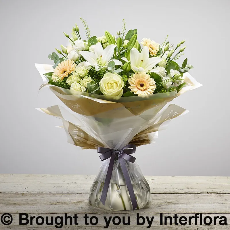 Twinkle Twinkle Hand-tied-0